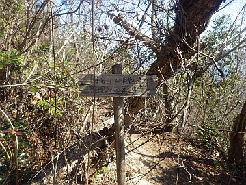 20170219-120651.jpg 20170219-120651.jpg