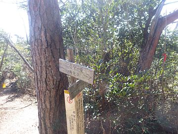 20170219-120910.jpg 20170219-120910.jpg