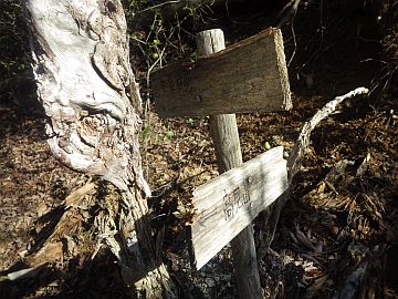 20170219-121838.jpg 20170219-121838.jpg