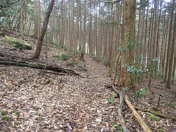 20170225-095017.jpg 20170225-095017.jpg