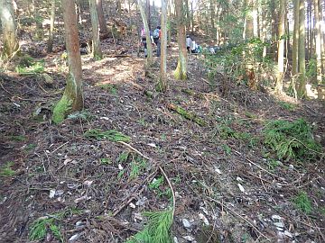 20170225-100009.jpg 20170225-100009.jpg