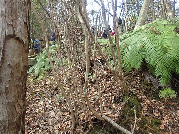 20170225-102451.jpg 20170225-102451.jpg
