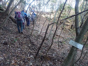 20170225-103622.jpg 20170225-103622.jpg