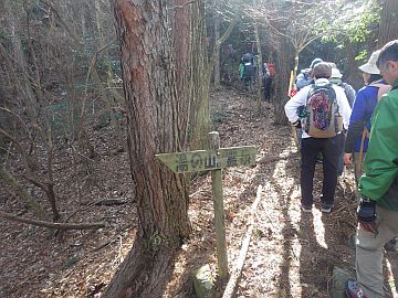 20170225-103813.jpg 20170225-103813.jpg