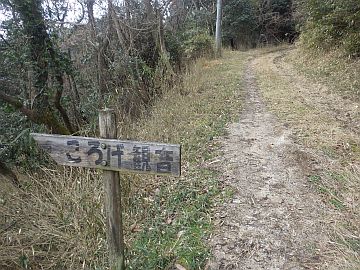 20170225-114443.jpg 20170225-114443.jpg