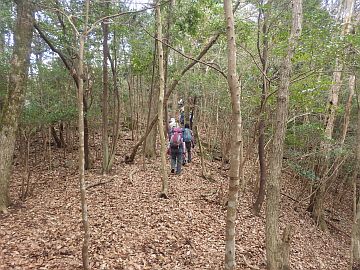20170225-120705.jpg 20170225-120705.jpg