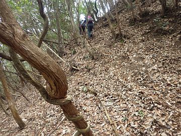 20170225-122040.jpg 20170225-122040.jpg