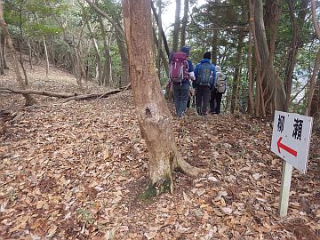 20170225-133310.jpg 20170225-133310.jpg