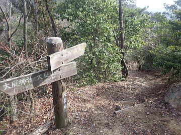 20170304-134315.jpg 20170304-134315.jpg