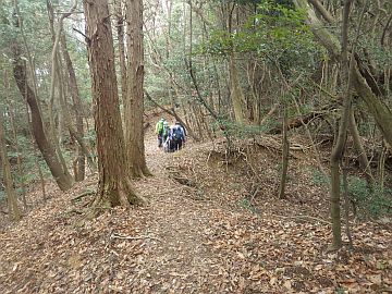 20170304-144409.jpg 20170304-144409.jpg