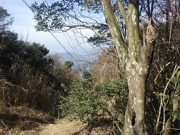 20170318-102353.jpg 20170318-102353.jpg
