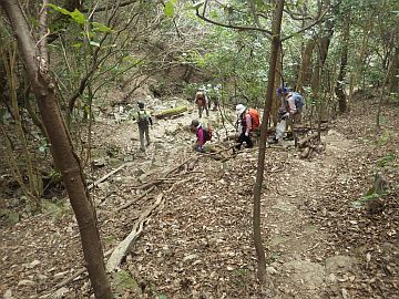 20170318-124310.jpg 20170318-124310.jpg