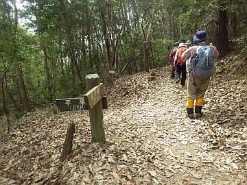 20170318-124633.jpg 20170318-124633.jpg