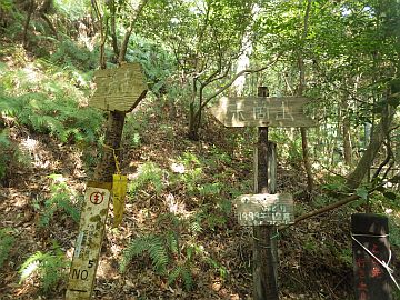 20170429-093207.jpg 20170429-093207.jpg