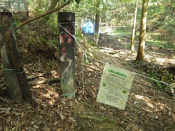 20170429-093228.jpg 20170429-093228.jpg