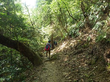 20170429-093249.jpg 20170429-093249.jpg