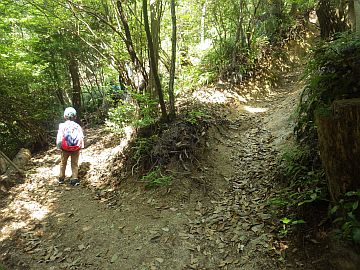 20170429-095751.jpg 20170429-095751.jpg