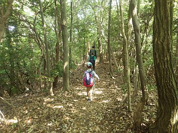 20170429-100205.jpg 20170429-100205.jpg