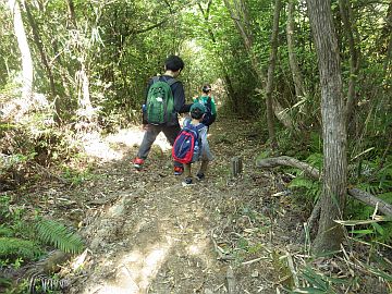 20170429-104726.jpg 20170429-104726.jpg