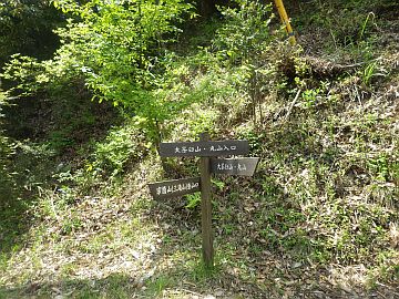 20170429-111025.jpg 20170429-111025.jpg