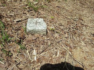 20170429-124506.jpg 20170429-124506.jpg