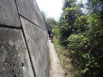 20170429-125619.jpg 20170429-125619.jpg