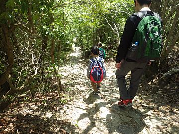 20170429-125832.jpg 20170429-125832.jpg