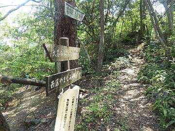 20170429-130324.jpg 20170429-130324.jpg