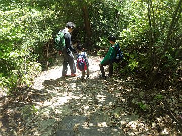 20170429-132927.jpg 20170429-132927.jpg
