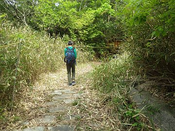 20170503-095253.jpg 20170503-095253.jpg