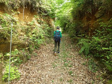 20170503-095313.jpg 20170503-095313.jpg