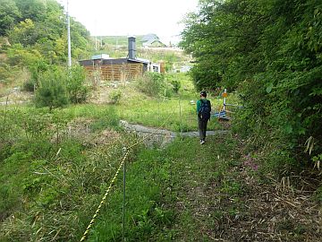 20170503-095419.jpg 20170503-095419.jpg