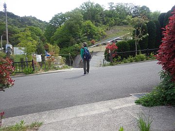20170503-095541.jpg 20170503-095541.jpg