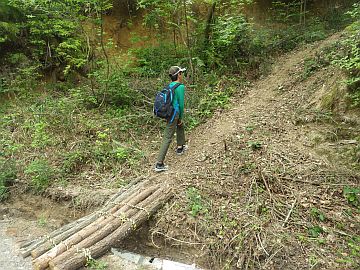 20170503-100120.jpg 20170503-100120.jpg
