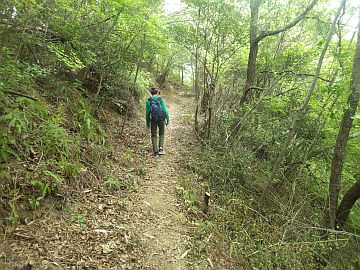 20170503-100237.jpg 20170503-100237.jpg