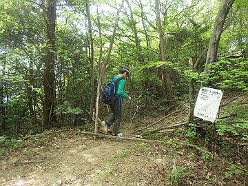 20170503-100409.jpg 20170503-100409.jpg