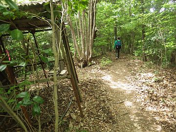 20170503-100432.jpg 20170503-100432.jpg