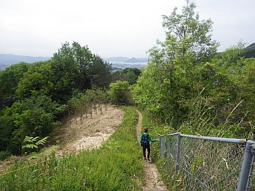 20170503-101114.jpg 20170503-101114.jpg
