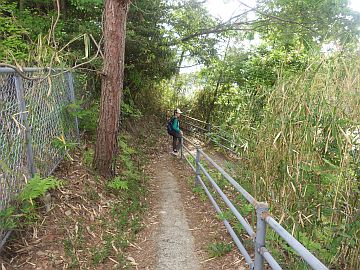 20170503-101201.jpg 20170503-101201.jpg