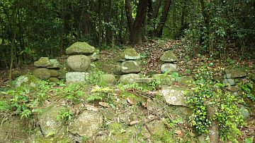 20170506-095821.jpg 20170506-095821.jpg