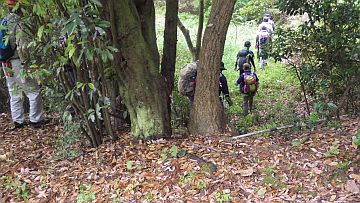 20170506-095833.jpg 20170506-095833.jpg