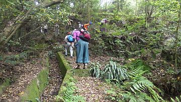 20170506-100423.jpg 20170506-100423.jpg