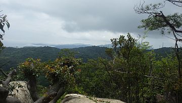 20170506-111904.jpg 20170506-111904.jpg