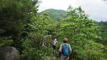 20170506-114610.jpg 20170506-114610.jpg