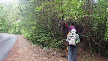 20170506-121439.jpg 20170506-121439.jpg