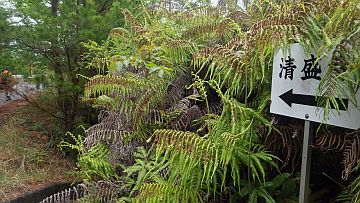 20170506-130844.jpg 20170506-130844.jpg
