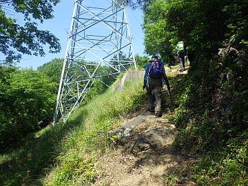20170520-101158.jpg 20170520-101158.jpg