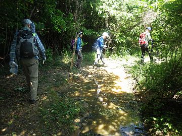 20170520-101555.jpg 20170520-101555.jpg