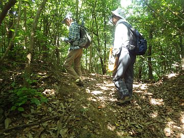 20170520-102250.jpg 20170520-102250.jpg