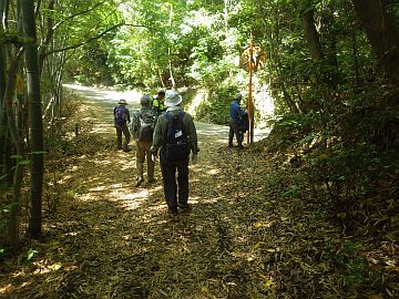 20170520-102918.jpg 20170520-102918.jpg